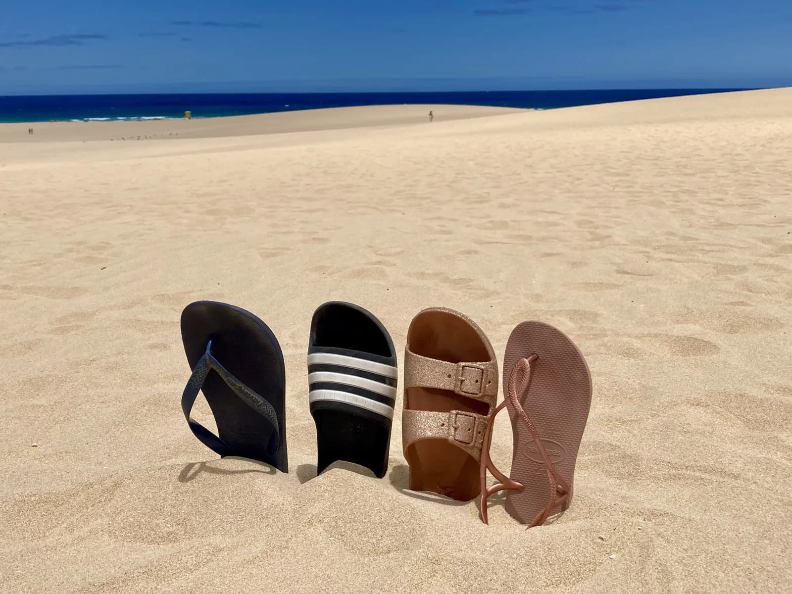 The whole family's flip-flops planted in the sand of the Corralejo dune, Fuerteventura