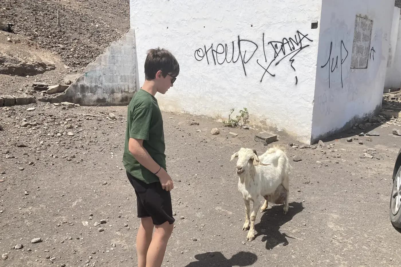 A goat encountered on the access track to Cofete, Fuerteventura