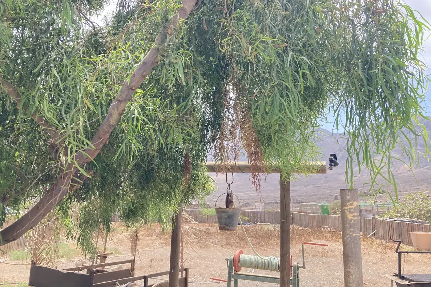 Traditional wheel well and trees in the hamlet of Cofete