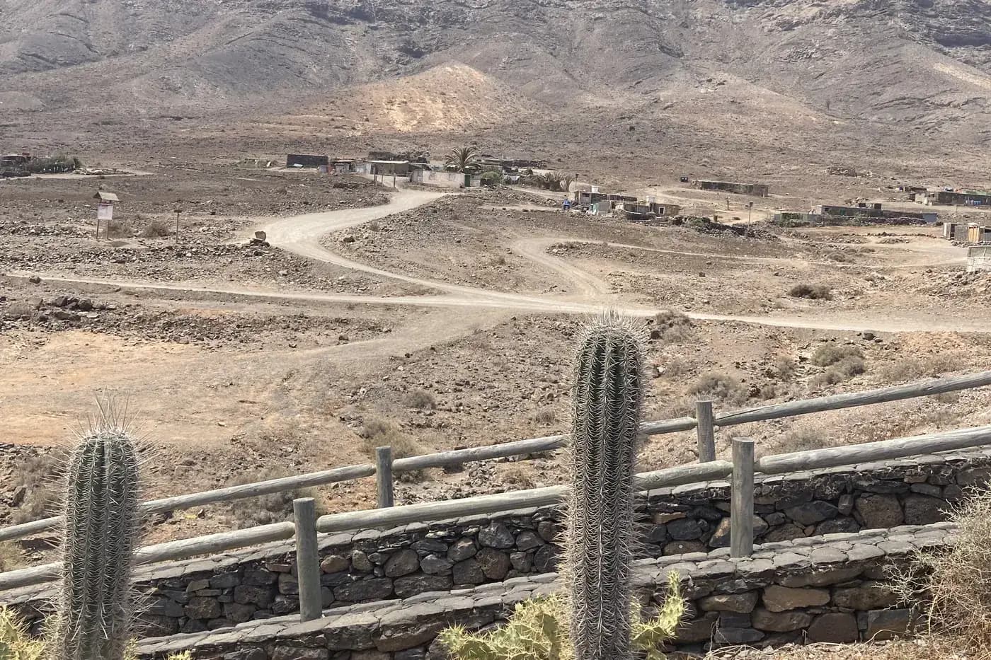 The winding track down to the hamlet of Cofete, a candle cactus in the foreground