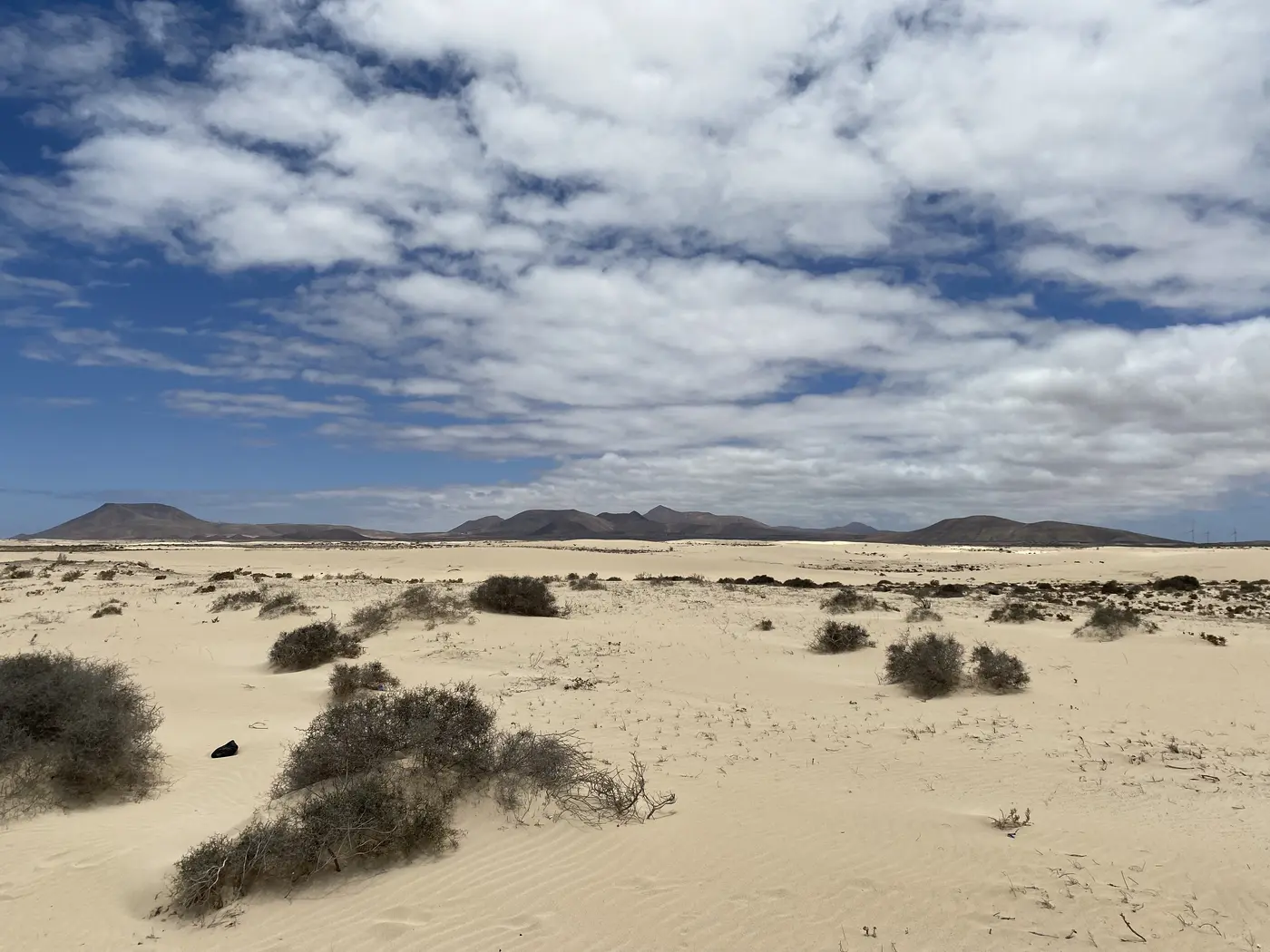 Die Dünen des Naturparks Corralejo, Fuerteventura