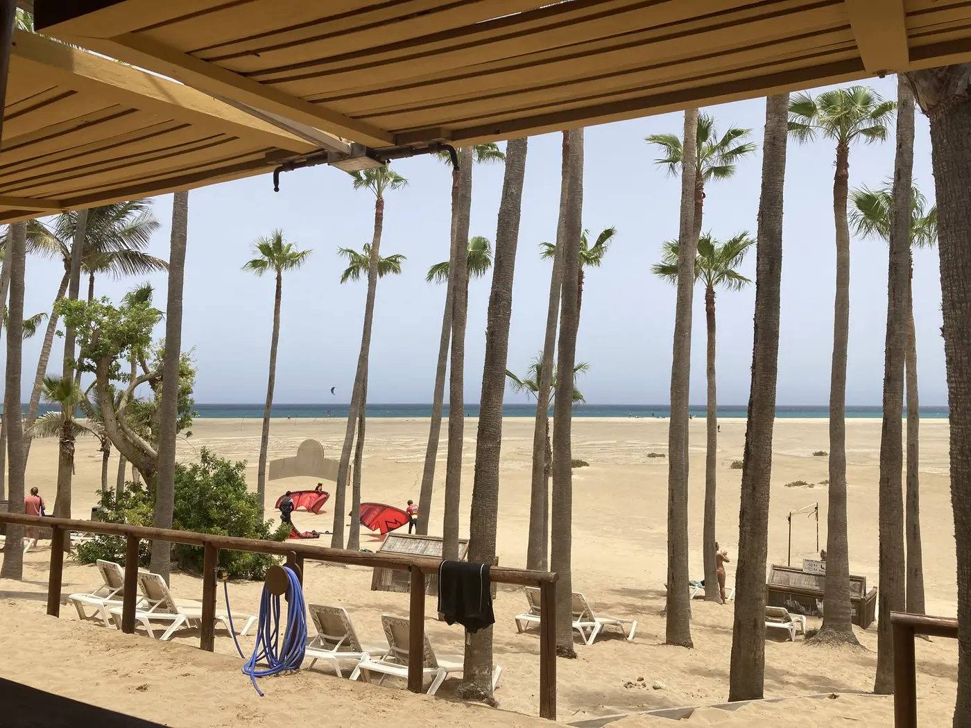 Der Strand von Costa Calma, gesäumt von Palmen, Fuerteventura