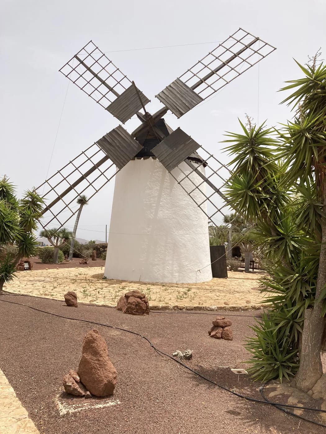 Eine traditionelle Windmühle auf dem Land Fuerteventuras