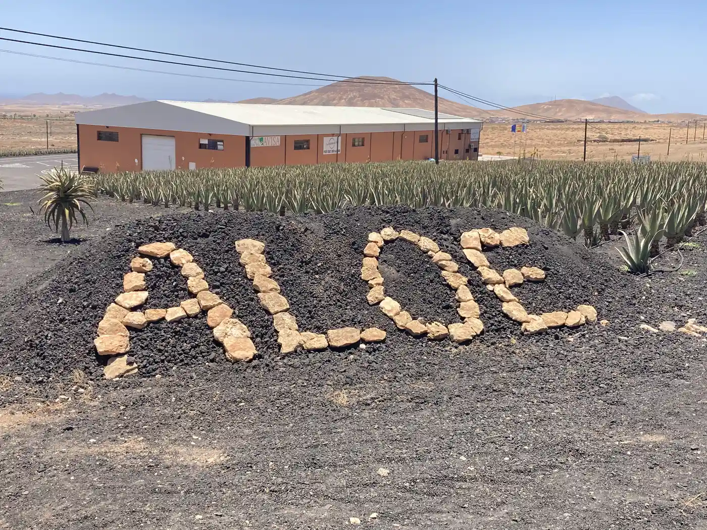 Der Schriftzug „Aloe“ aus Kieseln am Eingang einer Aloe-vera-Plantage, Fuerteventura