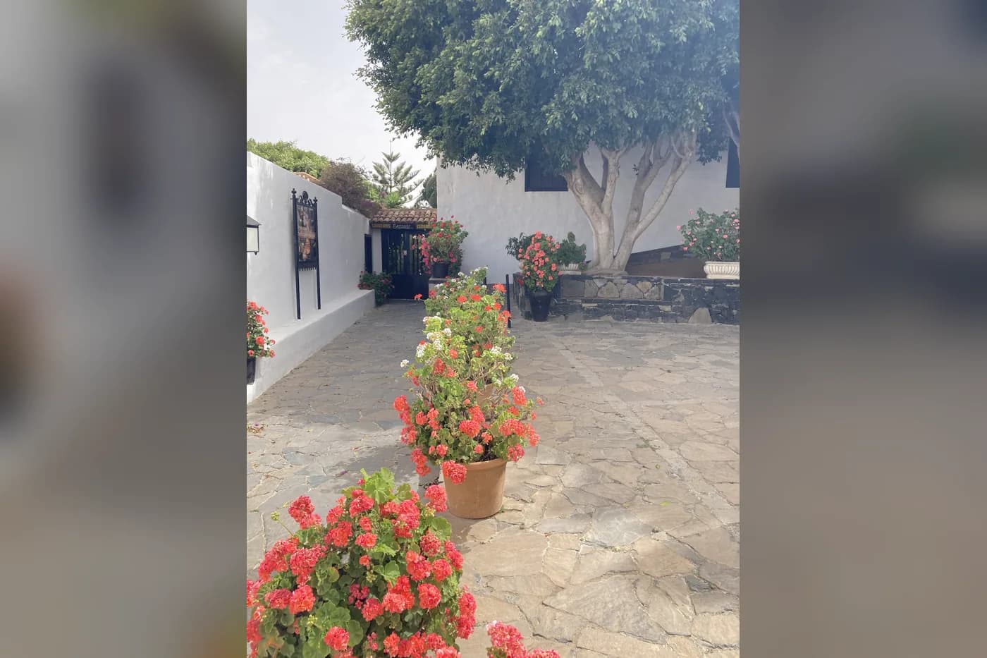 Patio fleuri de géraniums dans une maison de Betancuria, Fuerteventura