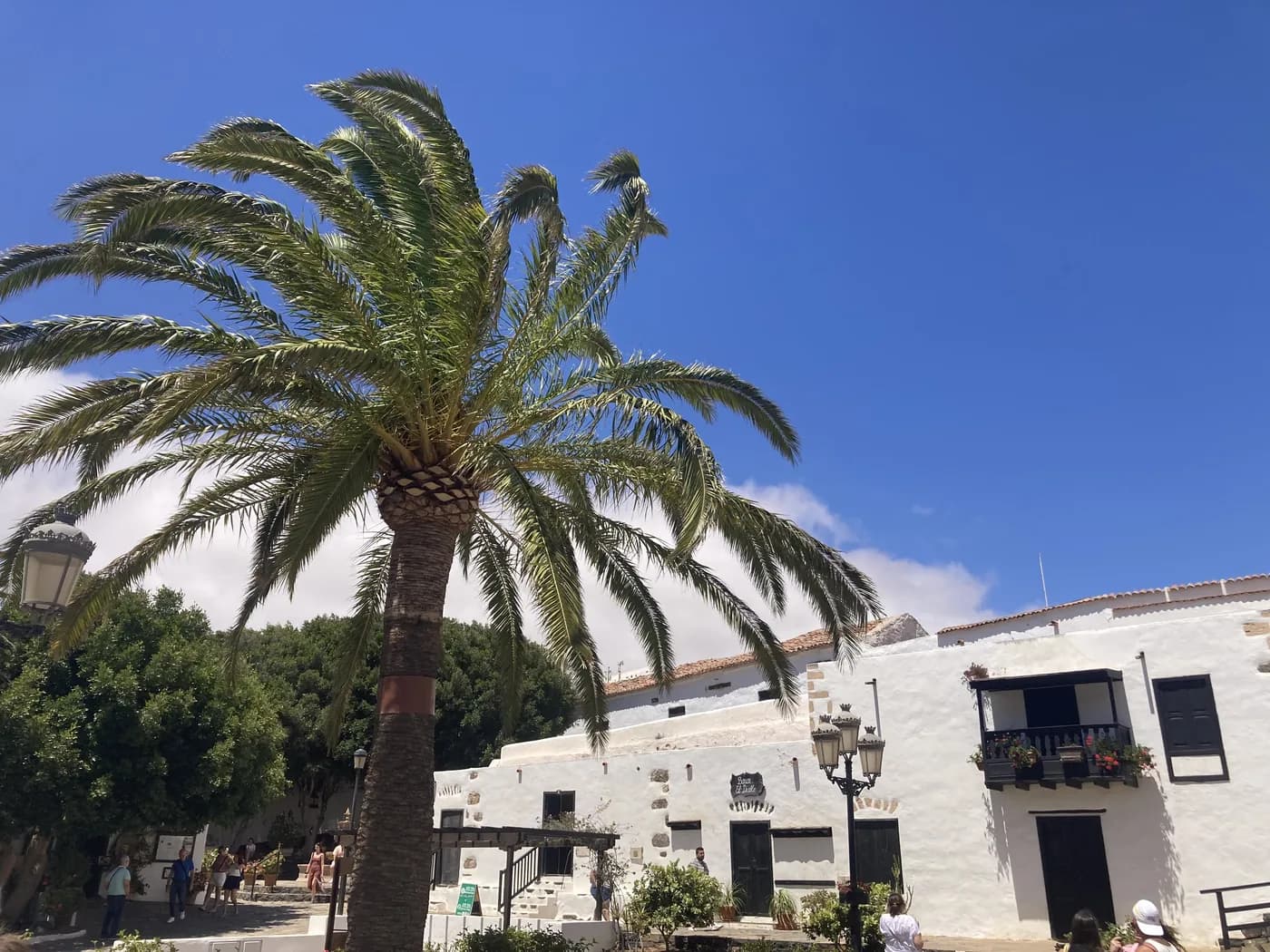Rue de Betancuria bordée de maisons blanches et d'un palmier, Fuerteventura