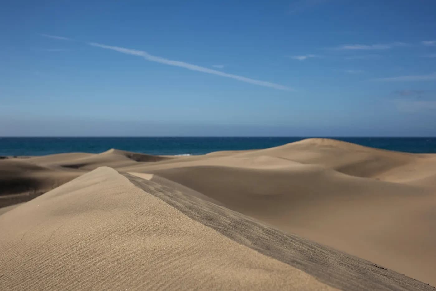 Les dunes de sable de Maspalomas à Gran Canaria, avec l'océan en arrière-plan