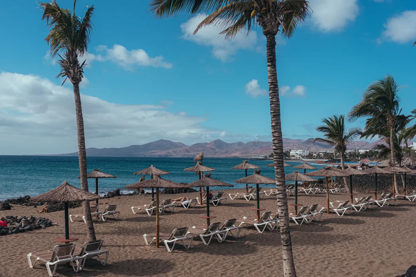 Liegestühle und Strohsonnenschirme unter Palmen an einem Strand von Puerto del Carmen, Lanzarote