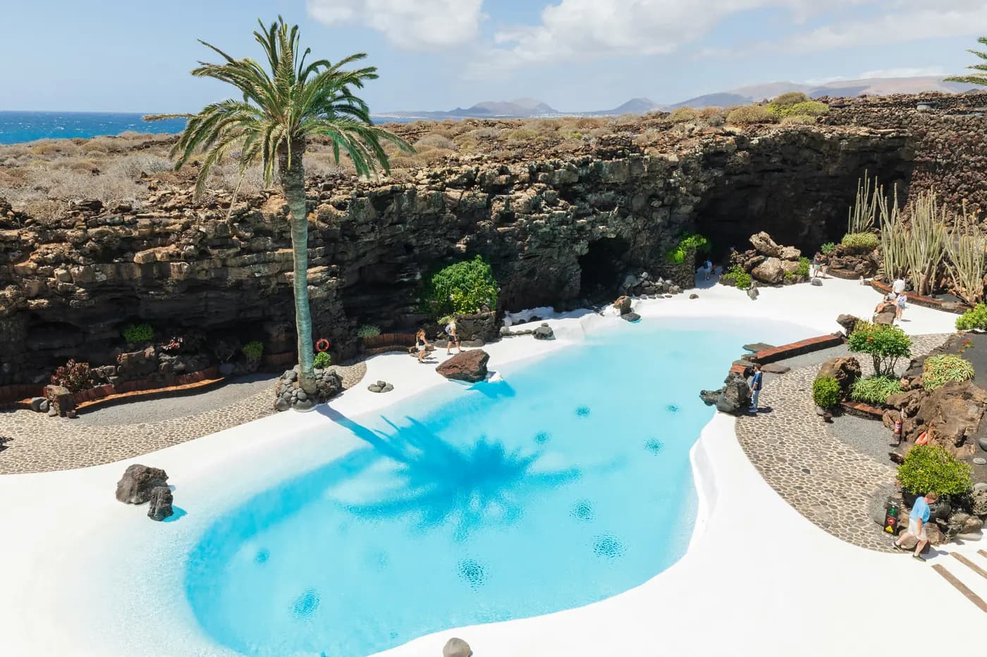 Aerial view of Jameos del Agua with the palm tree and the sea in the background