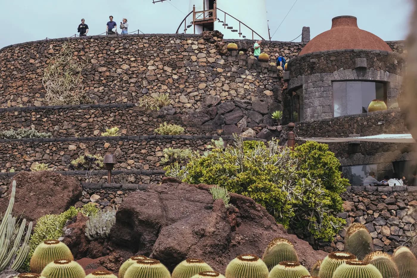 Traditional windmill and barrel cacti at Lanzarote's Jardin de Cactus