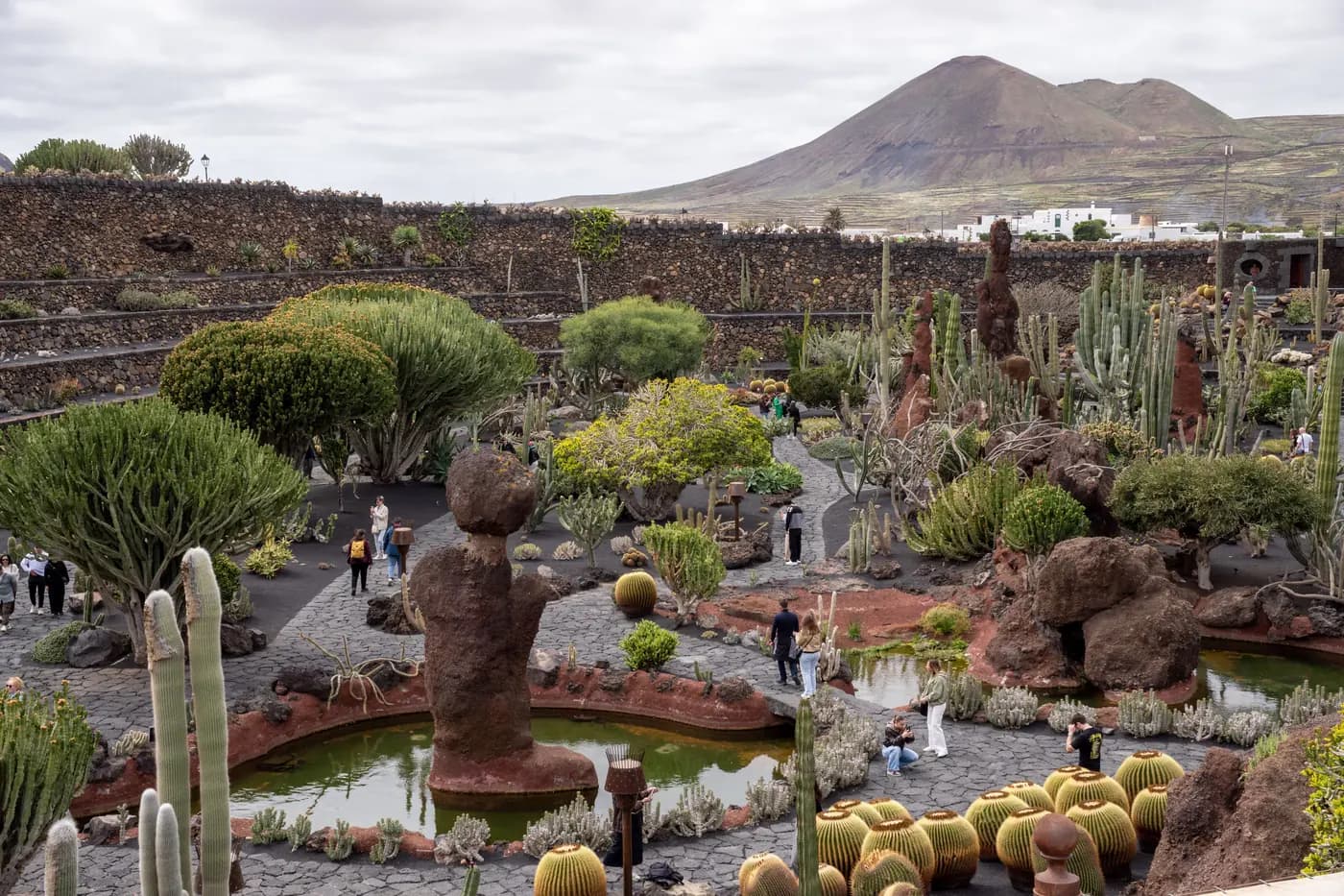 Aerial view of the cactus amphitheatre at Lanzarote's Jardin de Cactus