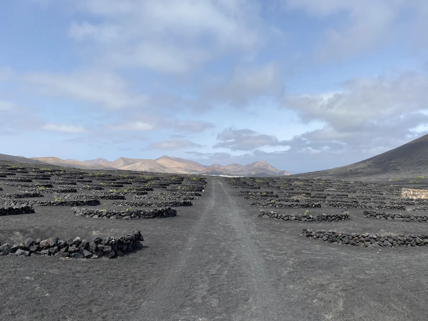 Black vineyard landscape of La Geria with the Timanfaya volcanoes in the background