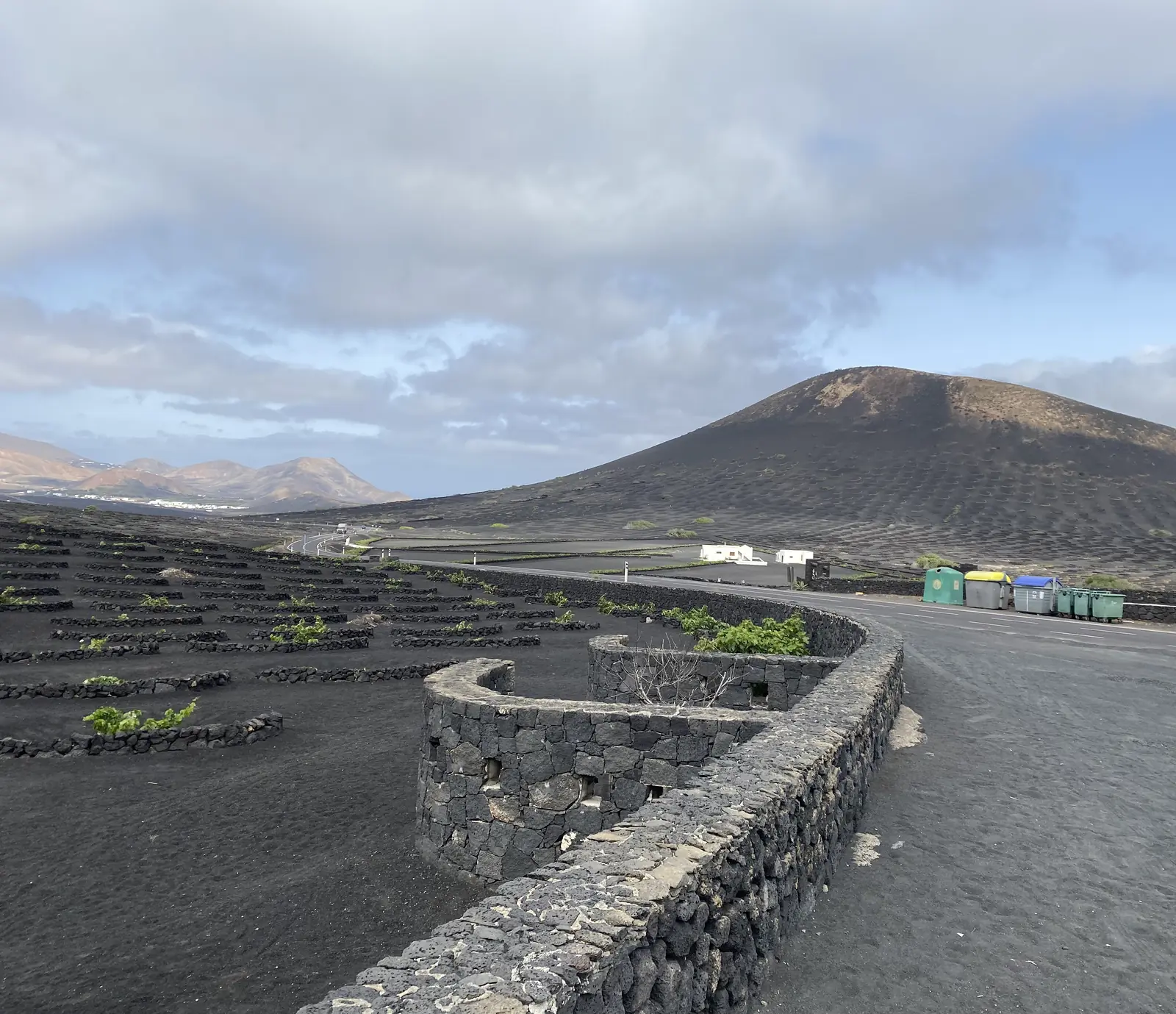 Typical vineyard in volcanic stone zocos in the La Geria region of Lanzarote