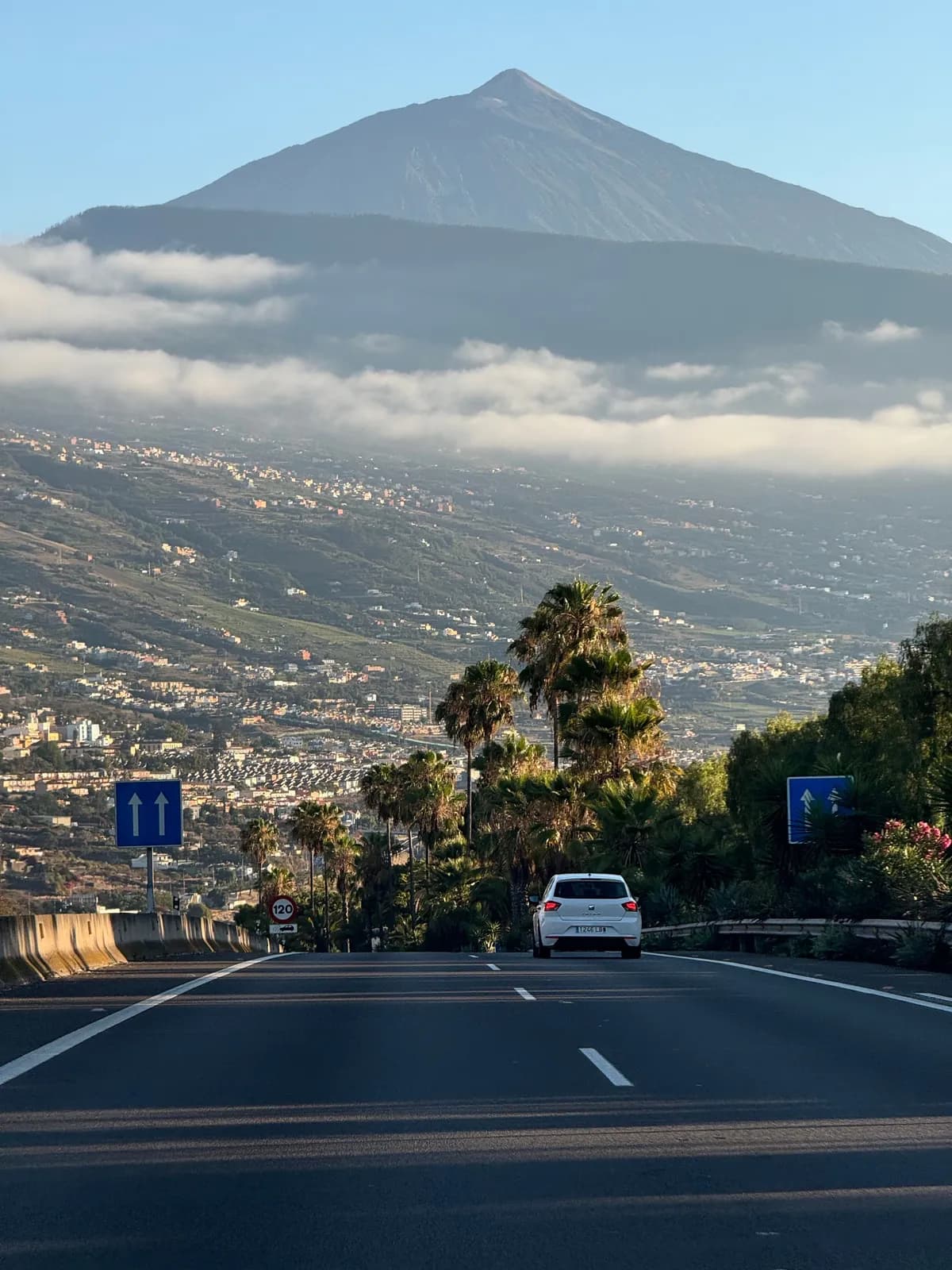 Mietwagen-Schalter in der Ankunftshalle des Flughafens Teneriffa Süd (TFS)
