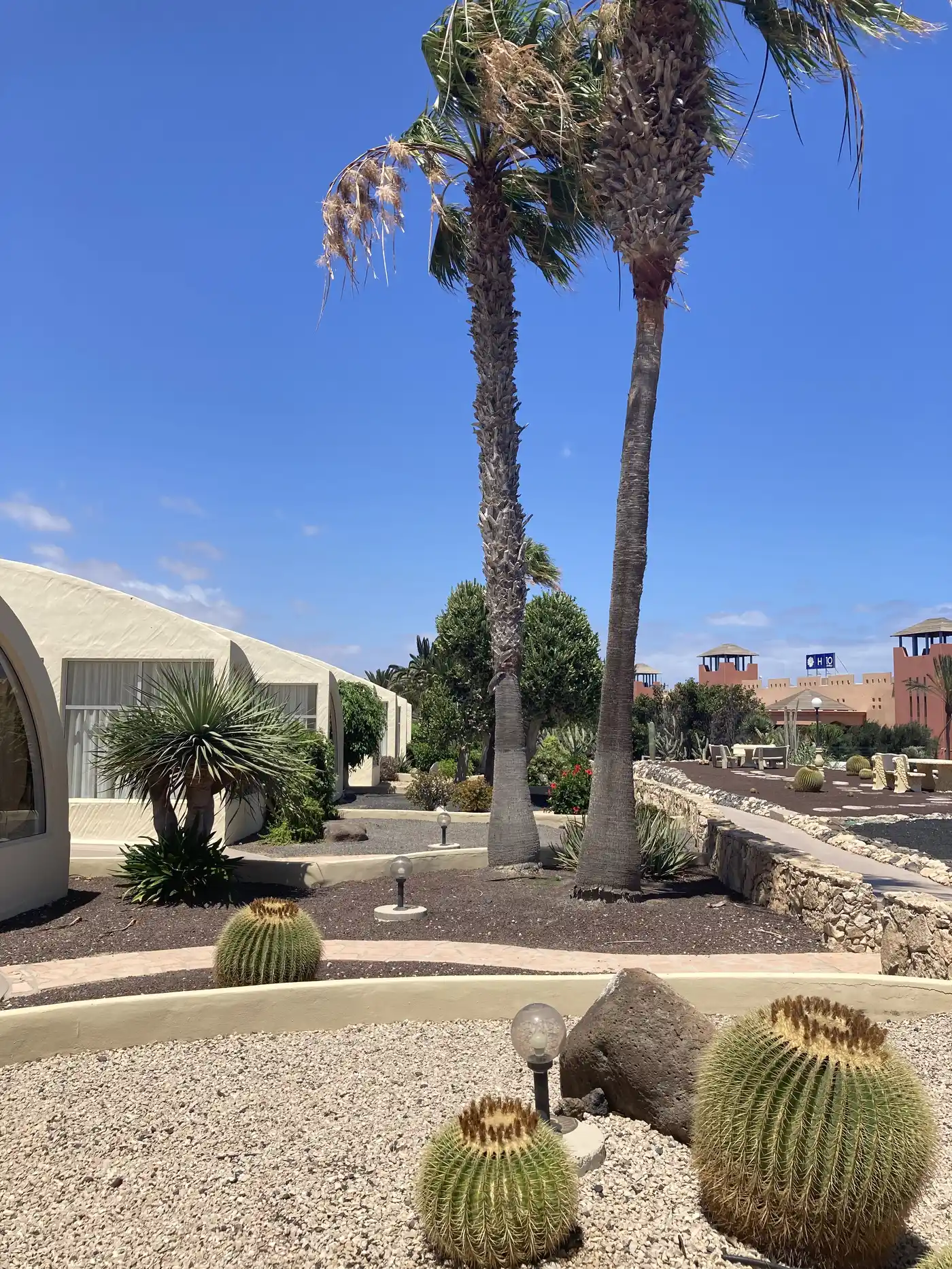 Jardin de cactus de l'hôtel Risco del Gato, Fuerteventura
