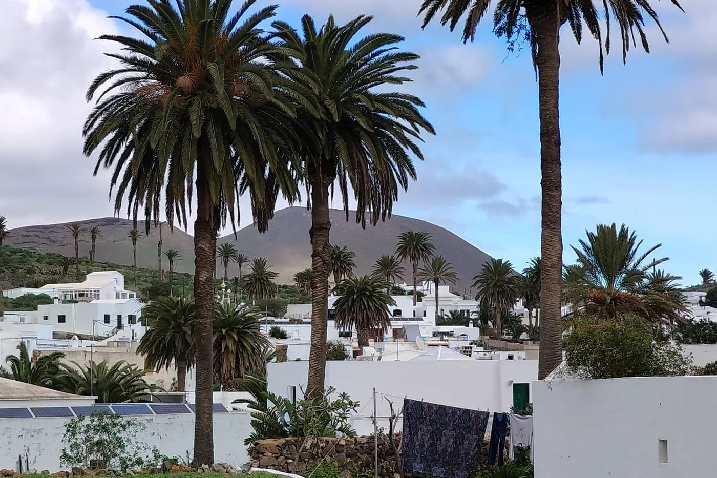 Das Dorf Teguise, umgeben von Palmen, mit einem Vulkankegel im Hintergrund