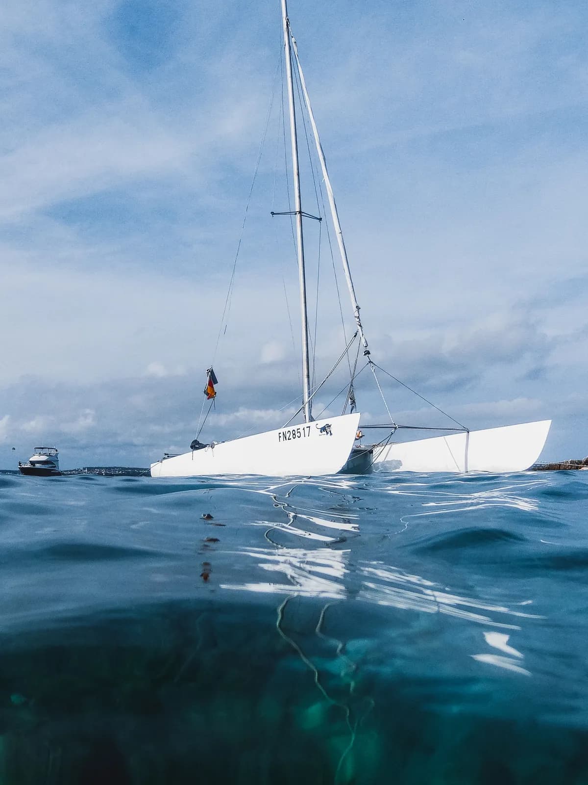 Grindwale von einem Boot vor dem Süden Teneriffas beobachtet
