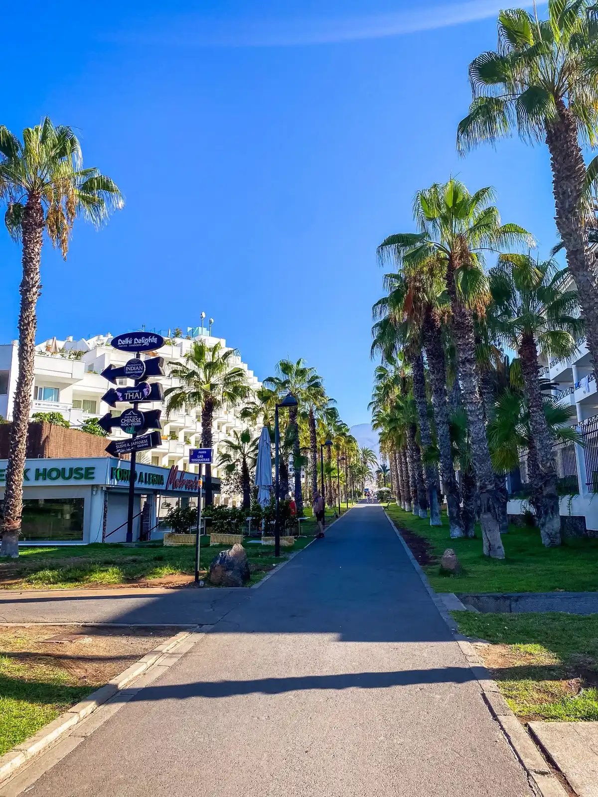 Front de mer animé de Playa de las Américas, au sud de Tenerife