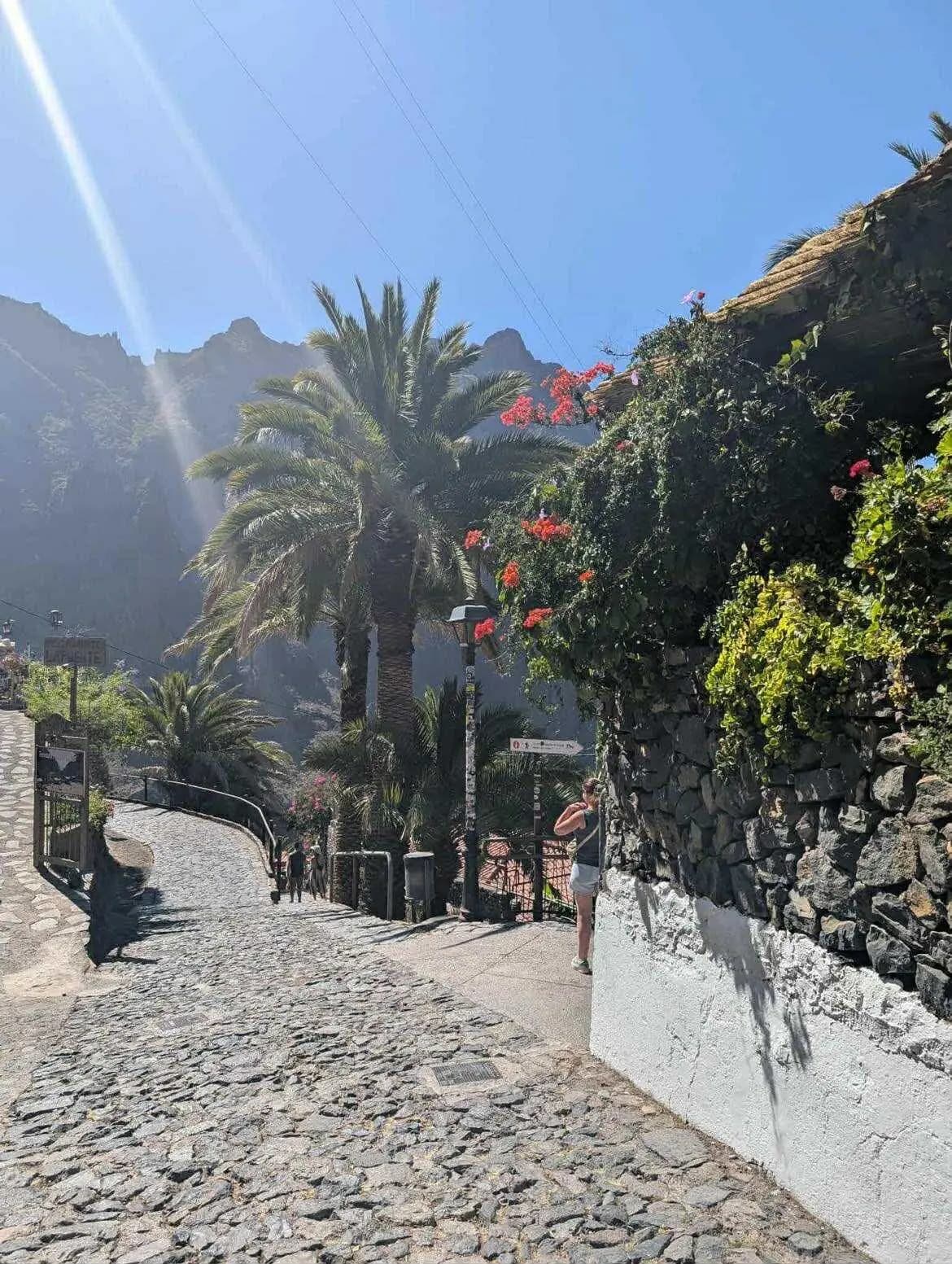 Sentier pavé au départ du village de Masca, bordé de bougainvillées, Tenerife
