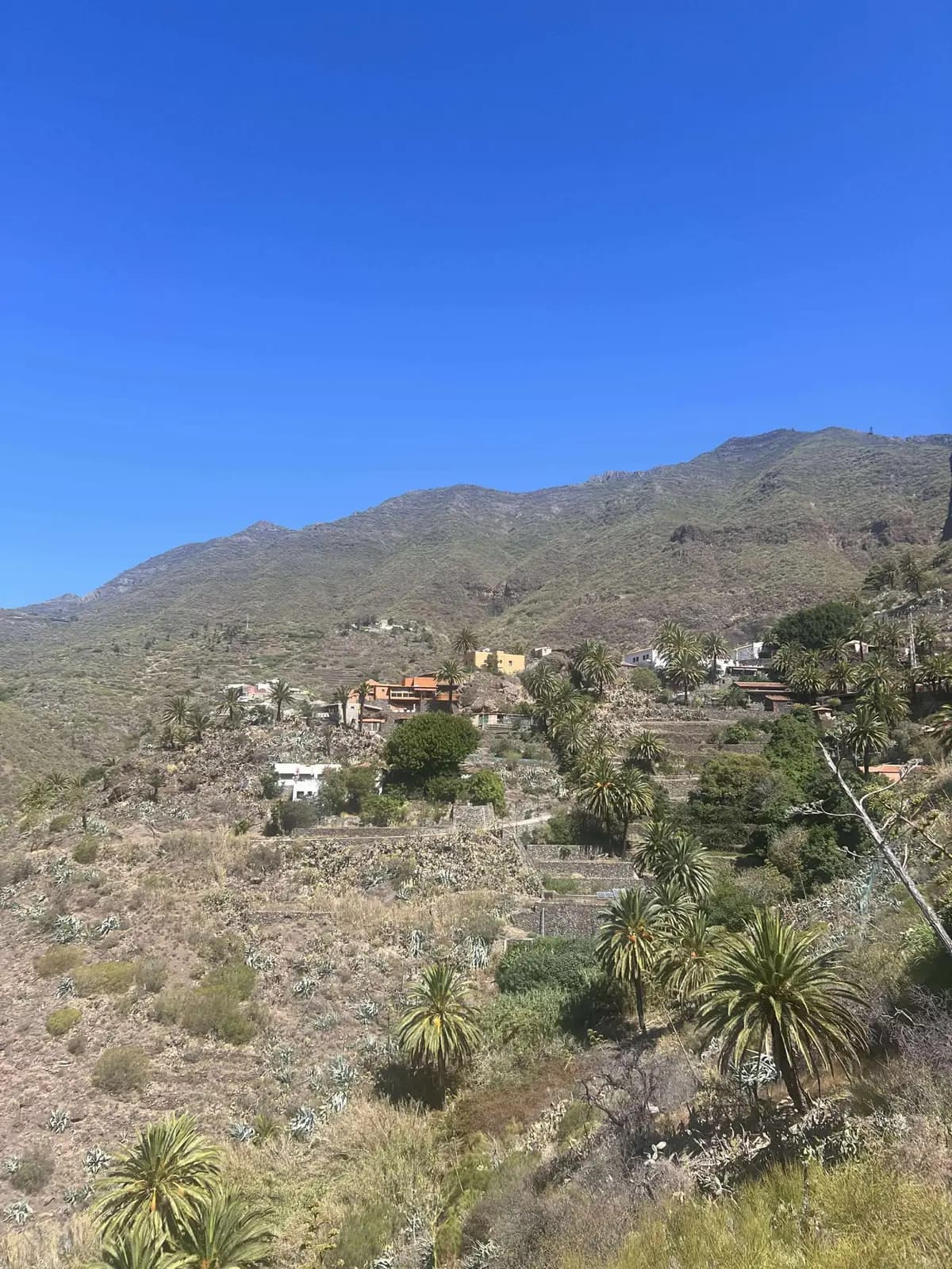 Vue plongeante sur le village de Masca depuis le sentier de randonnée du barranco, Tenerife